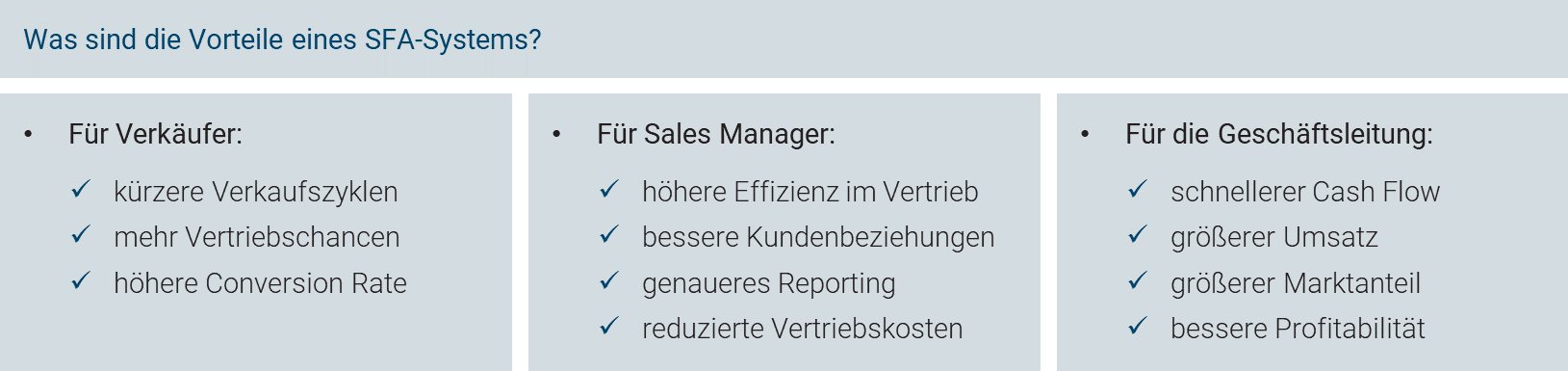 sales-force-automation-projectfacts-4
